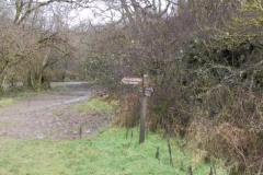 28. Near Lea Wood_640x480