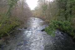 33. Looking downstream from Great Wood Footbridge_640x480