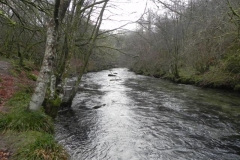 34. Downstream from Great Wood Footbridge_640x480