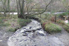 37. Tributary Stream from Knaplock Wood_640x480