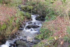 38. Tributary Stream from Knaplock Wood_640x480