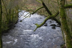 41. Below Knaplock Wood_640x480