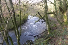 42. Below Knaplock Wood_640x480