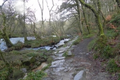 43. Below Knaplock Wood_640x480