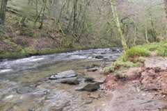 44. Below Knaplock Wood_640x480