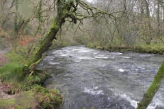 45. Below Knaplock Wood_640x480