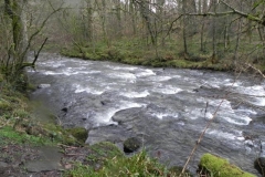46. Below Knaplock Wood_640x480