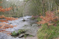 47. Below Knaplock Wood_640x480