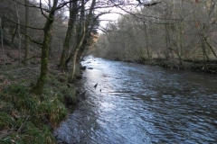 61. Upstream from Tarr Steps_640x480
