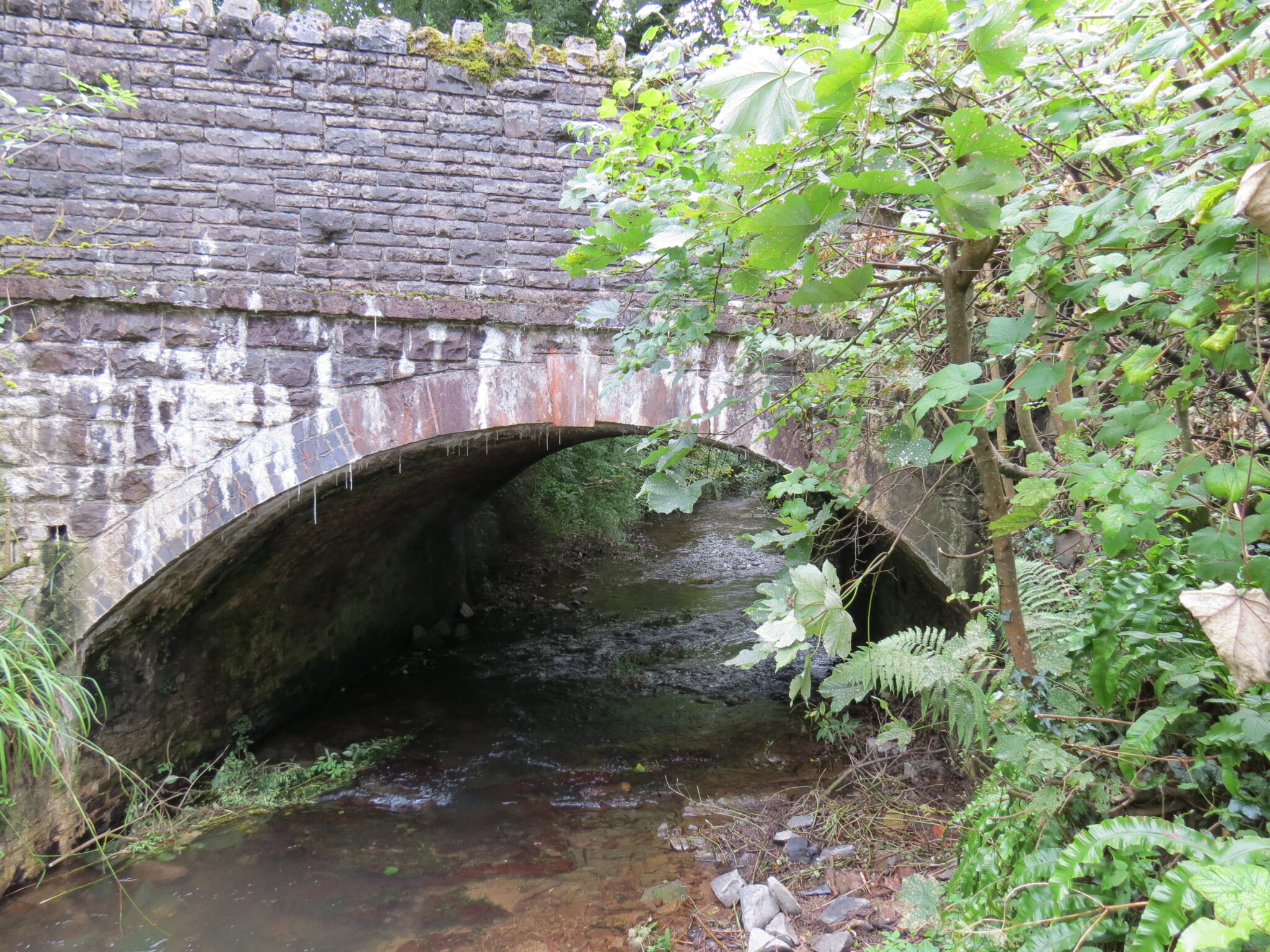 Waterrow Bridge – Somerset Rivers