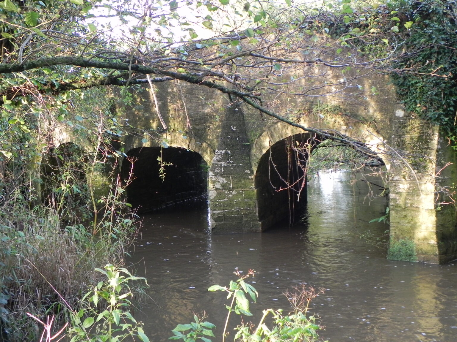 River Frome – Somerset Rivers