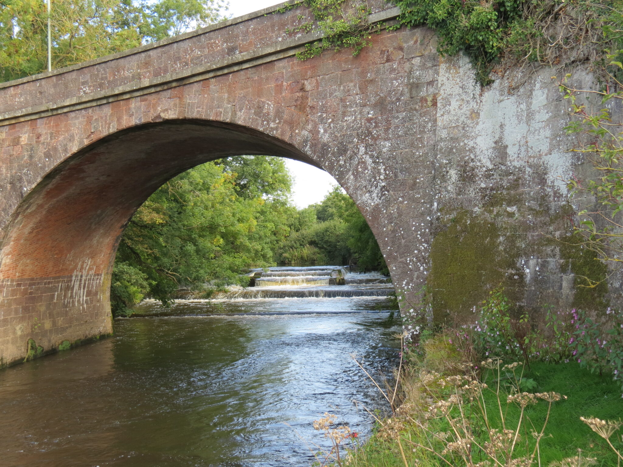 River Exe Somerset Rivers